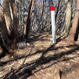 下山時に高指山というピークに立ち寄りました。

このピークはルートからちょっと外れてまして、大したことないだろって登ってみたのですが、登るには大した事ありませんでしたが、下山が激下りでしんどかったです。