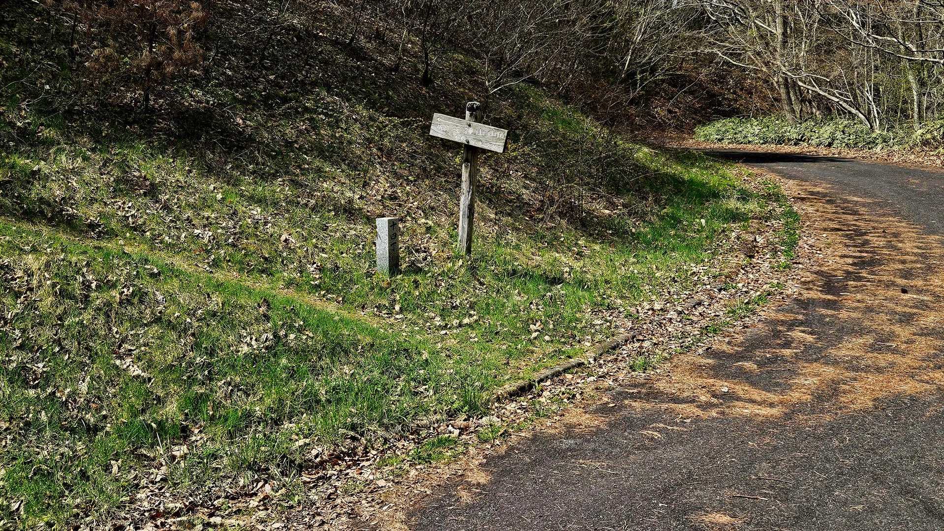 此処から山頂へひと登り❗