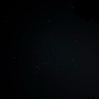 星空…見えないね
