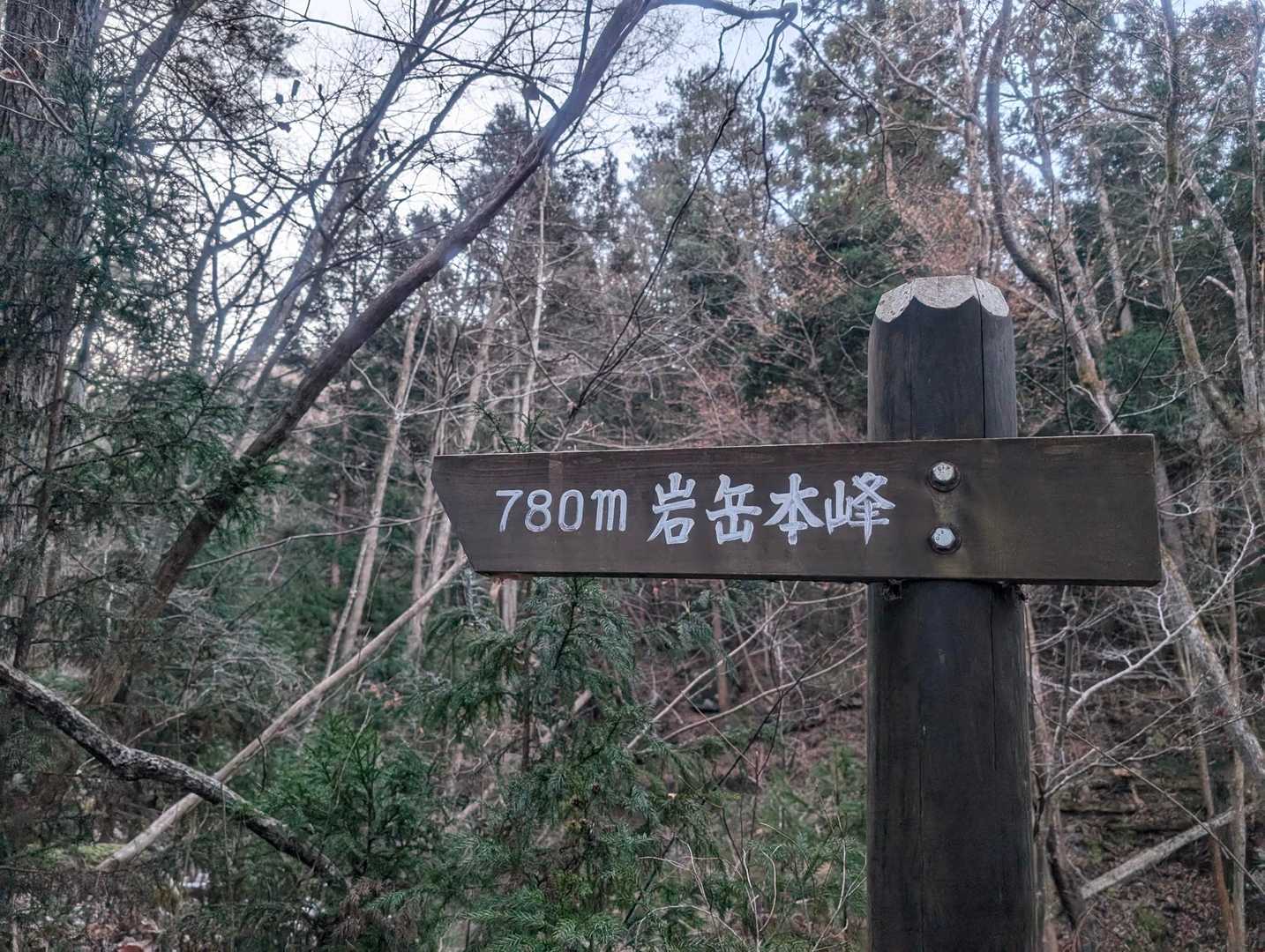 岩岳 往復コースの写真