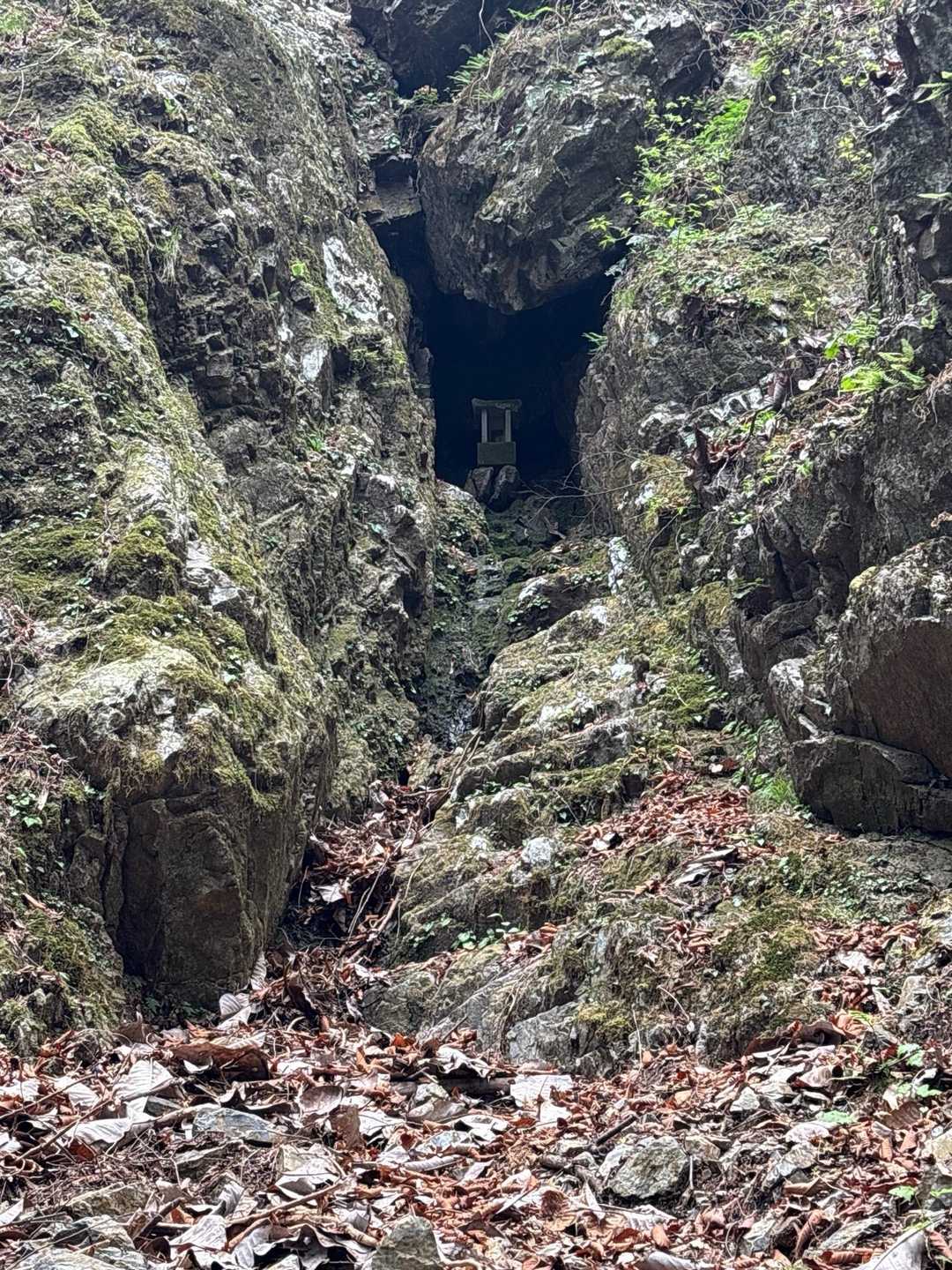 月山-石裂山バス停 縦走コースの写真