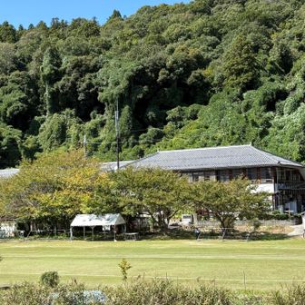 木で隠れてますが沖島小学校が見えます。
手前はグランド。