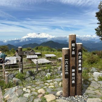かすかに🗻