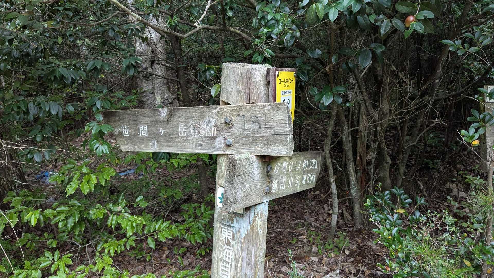 そして　笹間ケ岳まで
あと何km？
300㍍と読んでしまったから　このあとが散々😂🫣