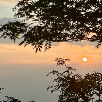 下山中に顔を出してくれました☀️