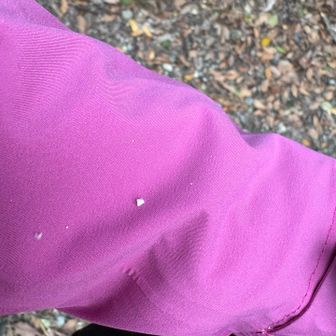 雪じゃなくてあられだった？