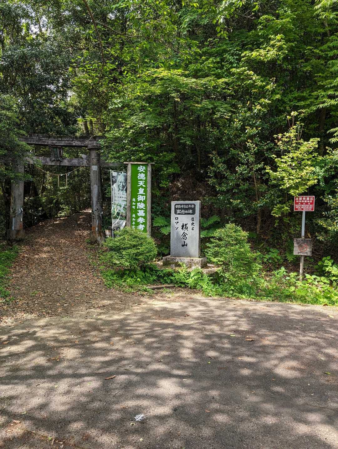 横倉山 周回コースの写真