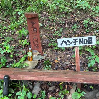 登頂三万回碑？