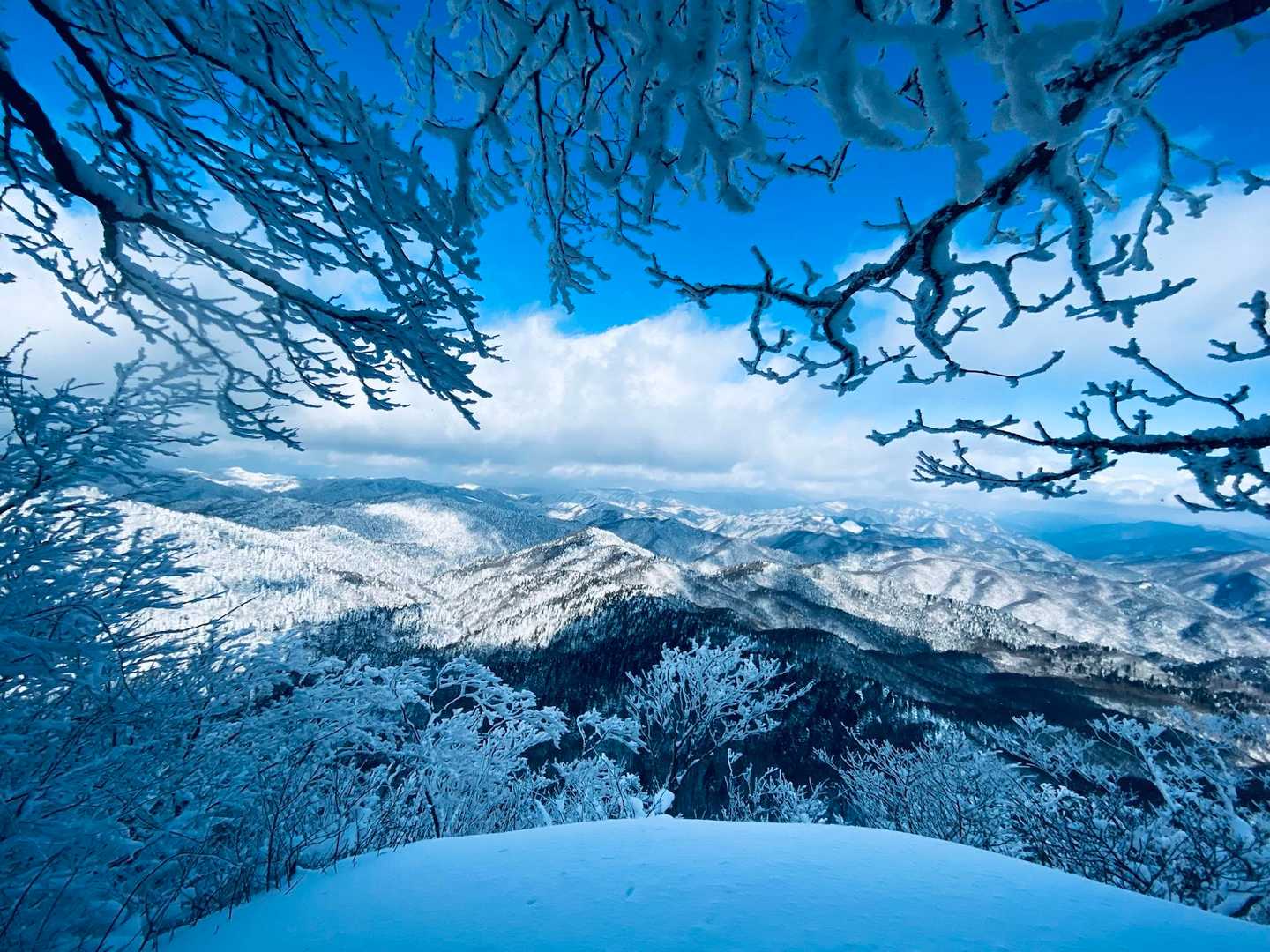 松の木峠-土滝山-吉和冠山 往復コースの写真