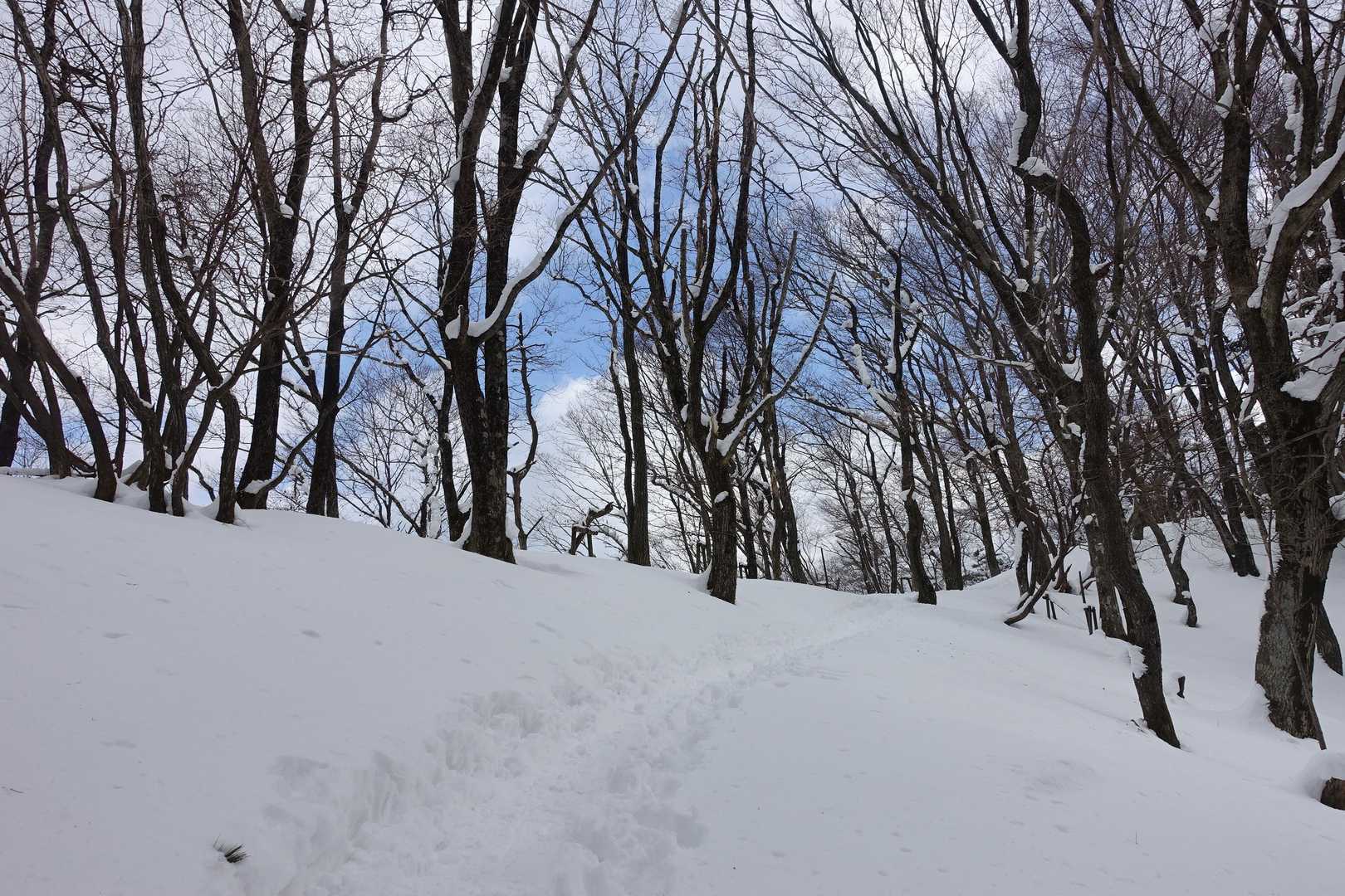 お天気が良くて暑いです💦
中に着ていたフリース脱ぎます