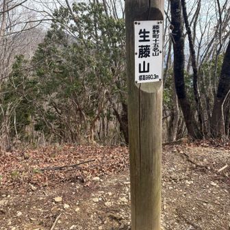 生藤山