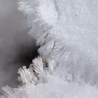 草むらの結晶
印象的だった❄
