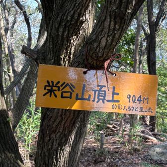 8ピーク目