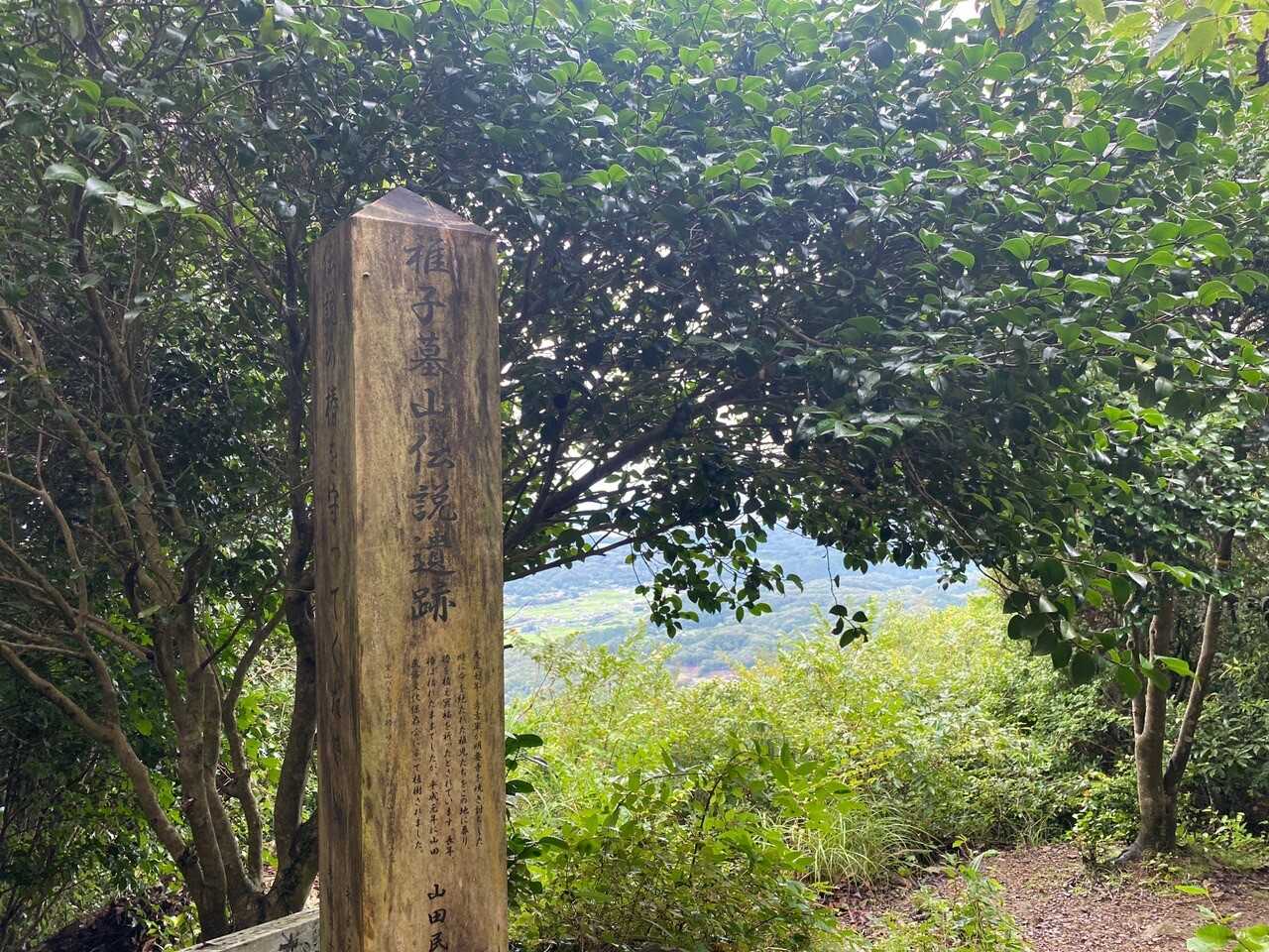 稚児ヶ墓山の写真