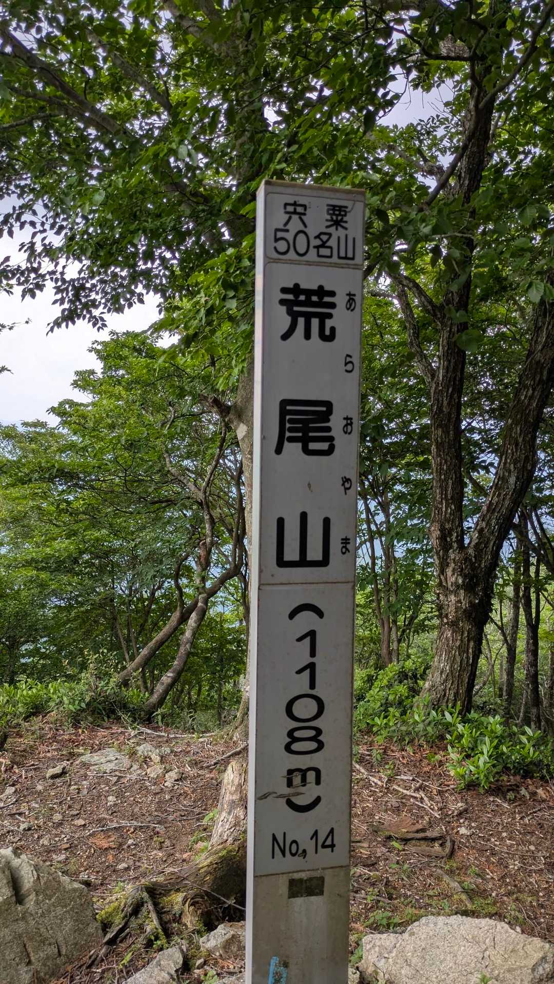 行くしかないよな😁って✌️
降りてまた登って荒尾山🌿