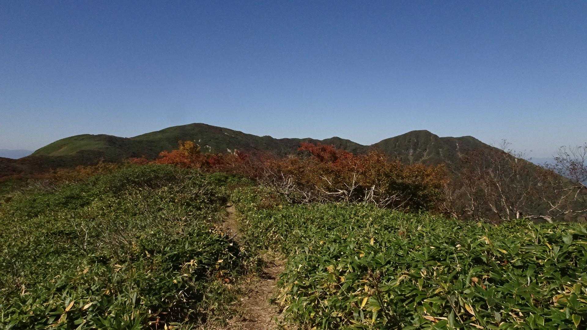 登山道奥の大倉山へ🚶🏼
右端は今日は行けない三倉山
