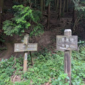 バテちゃったので登ろうかどうしようか検討中ｗ