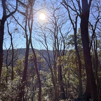 小仏城山を見ながら休憩