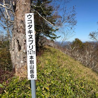 もうちょっと進むと景色が良くなる