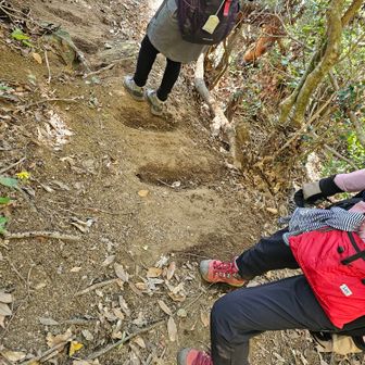 降りる時の方が滑りそうで怖いね💦気をつけようね！と話してたら、登る時にはなかった階段が危なそうなところに掘られてました。転ぶことなく降りることができました。ありがたかった🥹