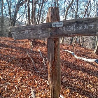 入小沢の峰　ルート表織。