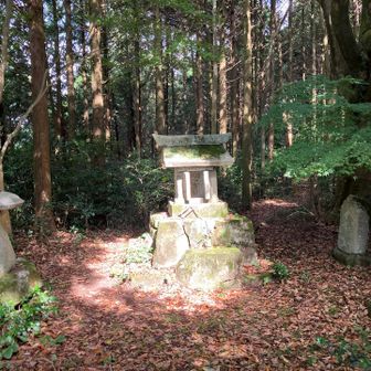日光のスポットライトを浴びて神々しい祠があった。これが宮地岳神社らしい。
宗像の宮地岳神社とは大違いです