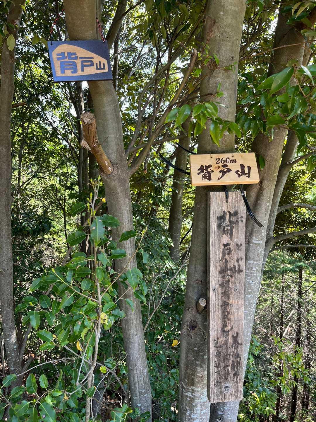背戸山 周回コースの写真