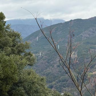 早雲山は雲の中