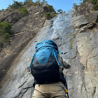 見上げると首が痛い😓
