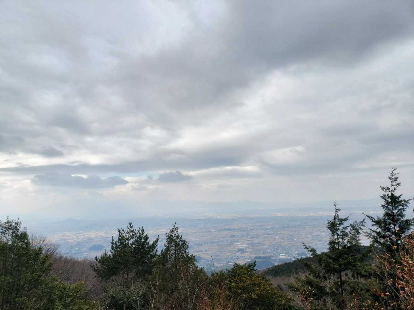 龍王山 往復コースの写真