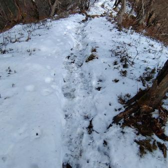 登りより、下りでチェーンスパイク必須かな…。