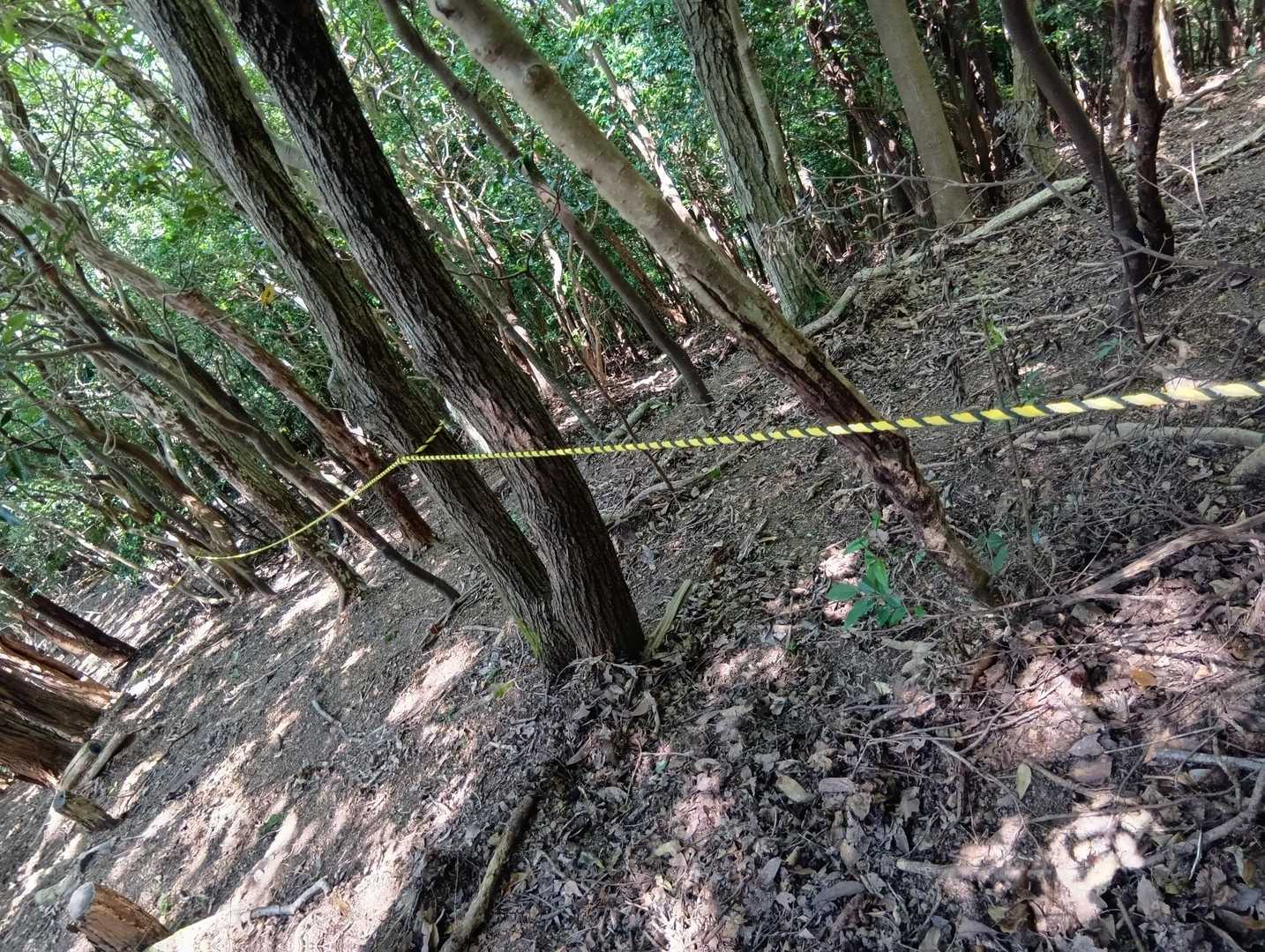 下山ロープバッチリです。