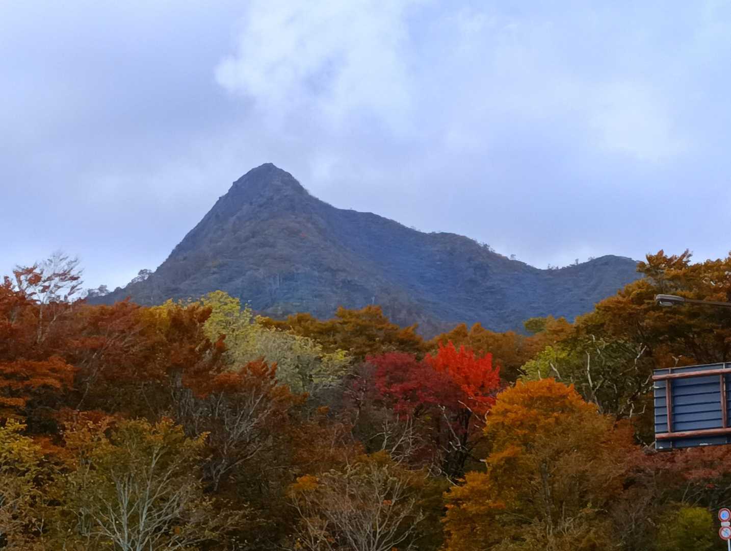 🅿️からの　🍁と烏　beautiful❗