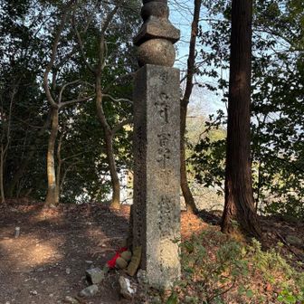 階段途中に町石道始まりの180町石
長い道のりです💪🏻

4時までに大門に着ける様に頑張りまーす✊🏻