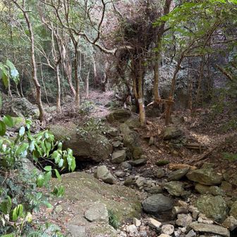 すぐに岩場の急登