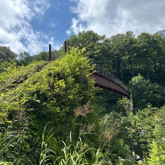 橋です。ようやく五輪尾根終了。次の川までまだまだ下ります。