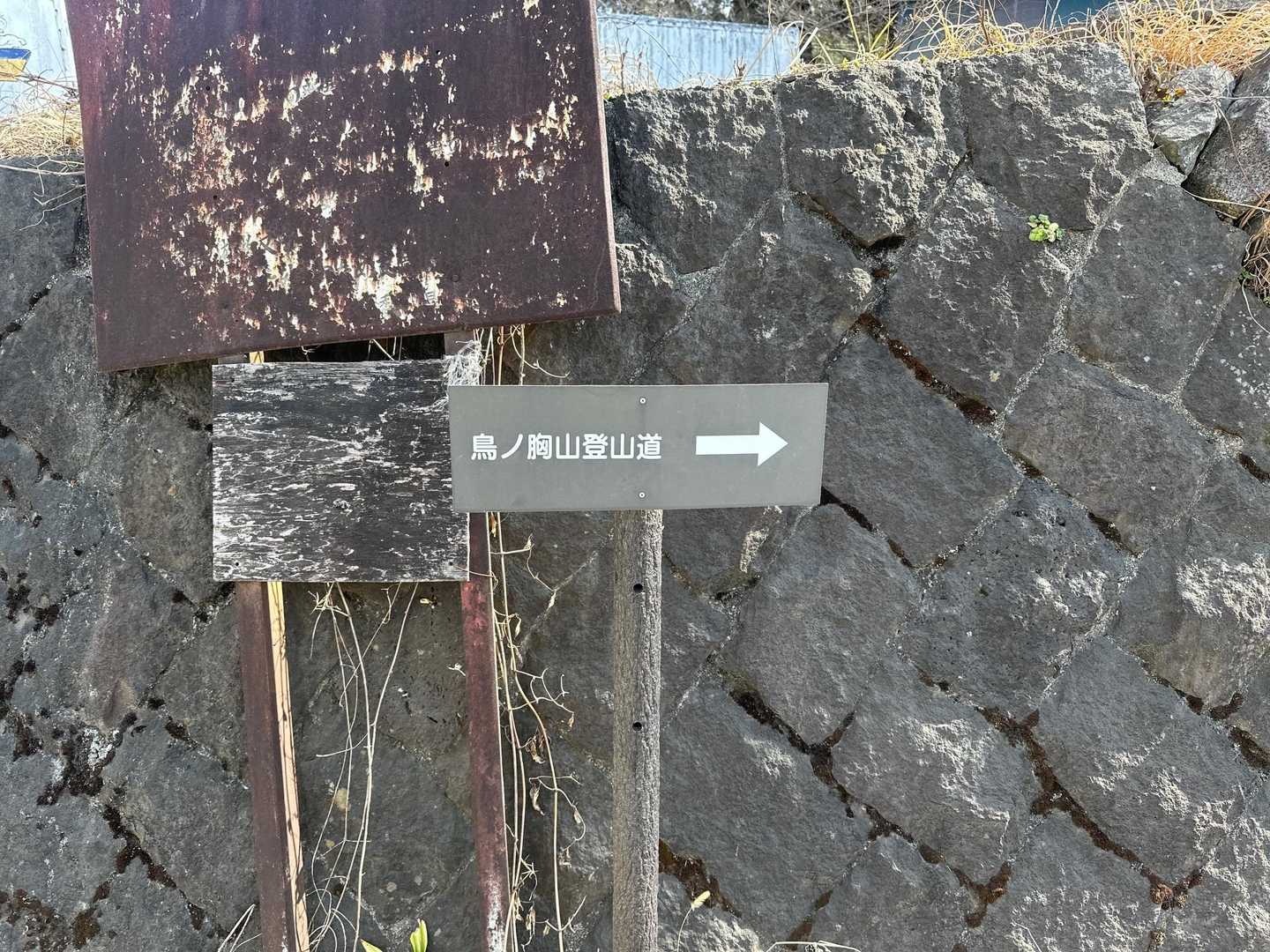 わかりやすい