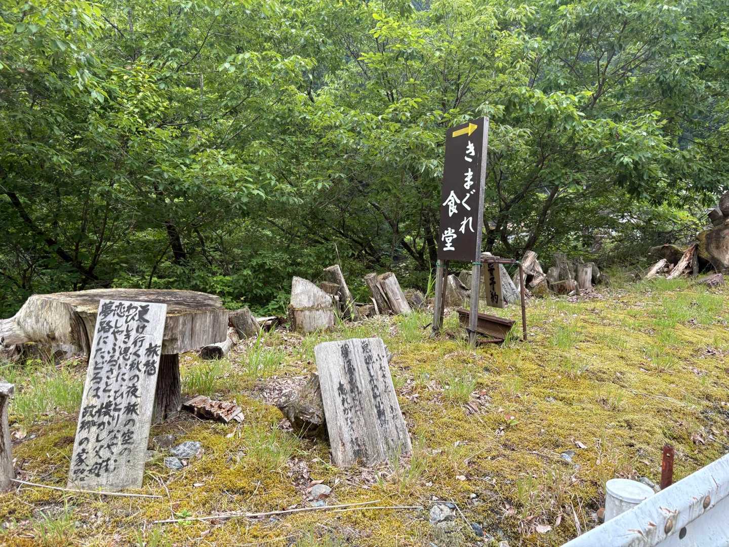 気まぐれ食堂　気まぐれなのに要予約😄