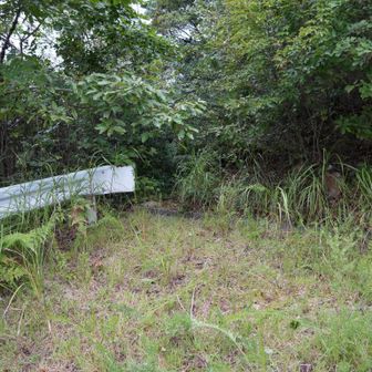ここから登ります