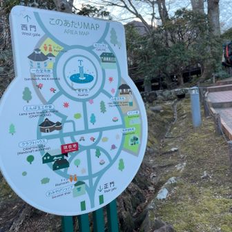 〜おまけ〜
強羅公園
強羅駅からの道のりも園内も、勾配がすごい…！！そんじょそこらの山よりきつい😆