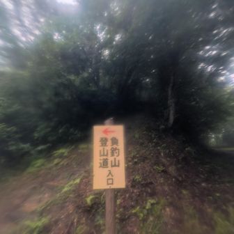 マジか…熊いそう…怖い…