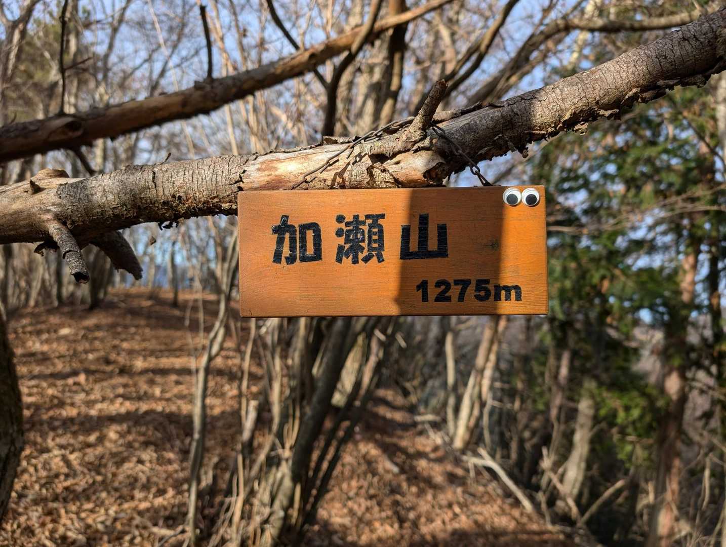 加瀬山