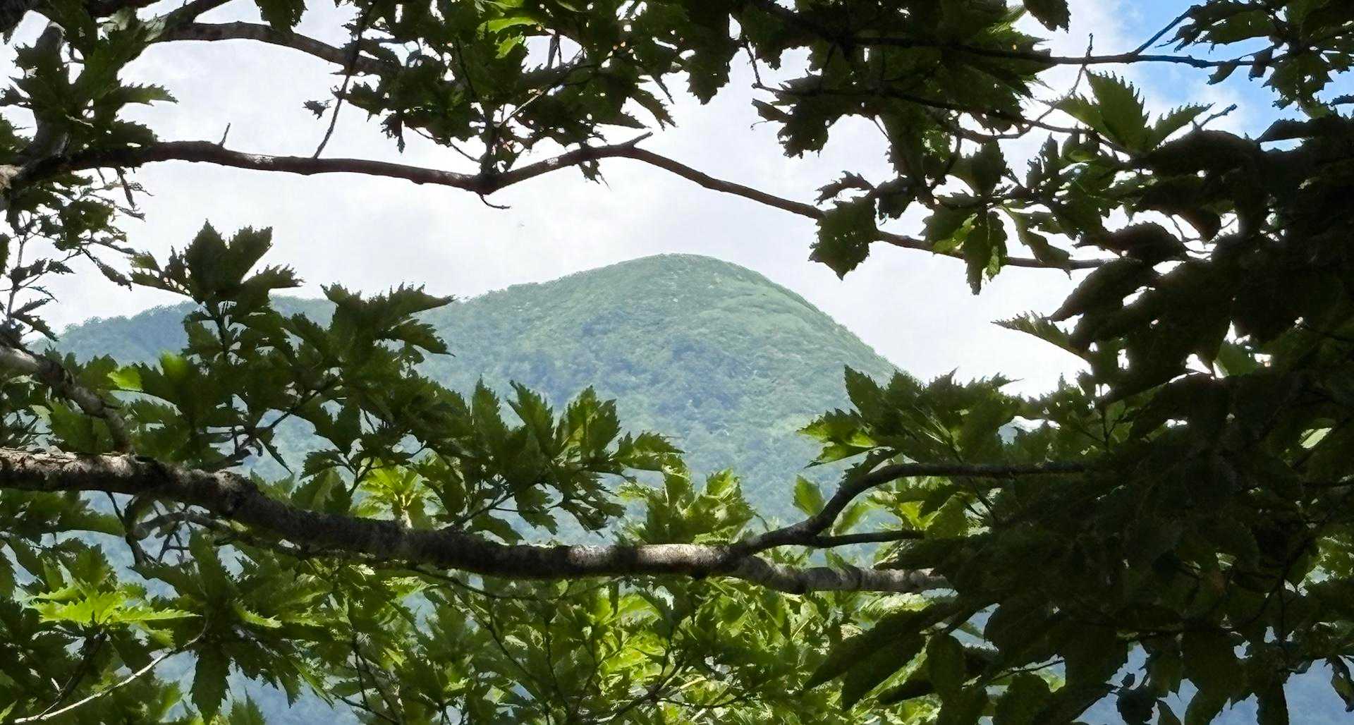 あとは加賀大日にも　行かなくっちゃね〜