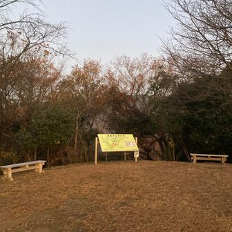 山頂は広場になってます