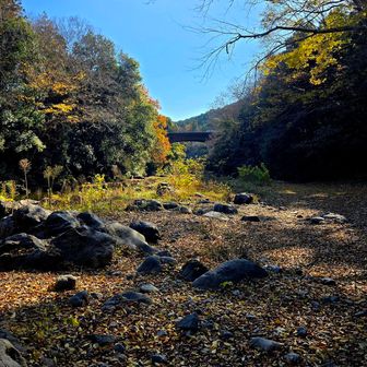 吾妻峡へ到着。秋も良い。