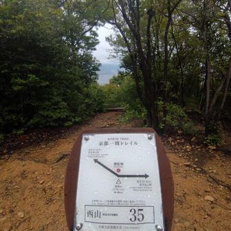 道標は多めですが、北山方面に向かうにつれ、少なくなり、しかも地名が分からない。有料の地図を買わなければならなかったのかも