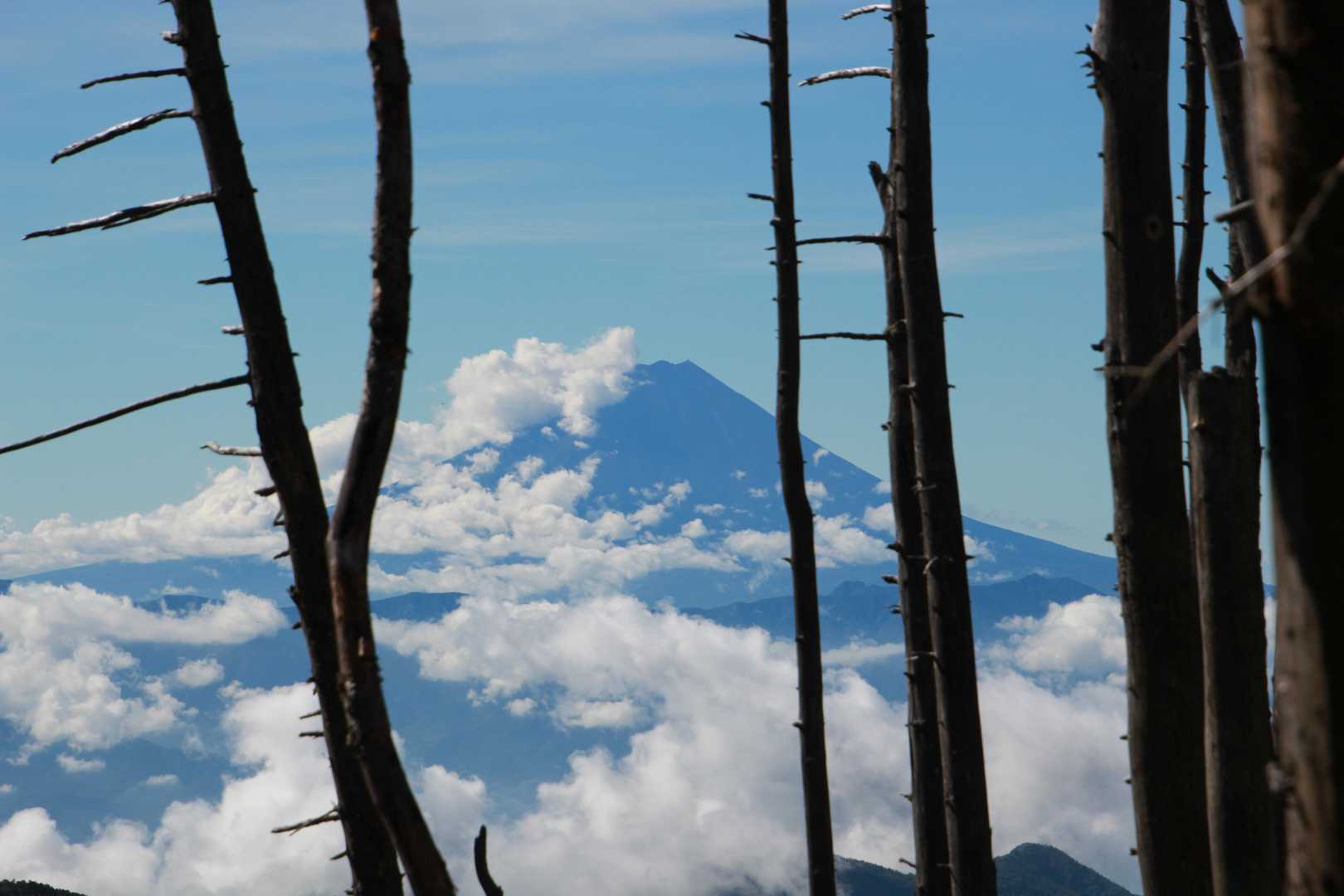 大弛峠-北奥千丈岳-朝日峠-朝日岳 周回コースの写真