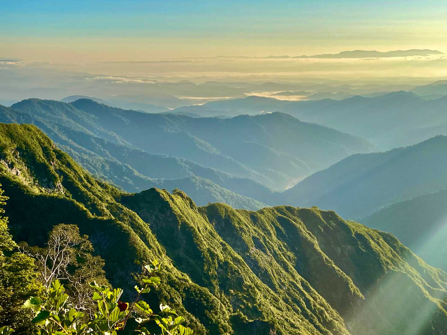 御沢登山口-横峰-剣ヶ峰-草履塚-飯豊山神社-飯豊山-駒形 往復コースの写真