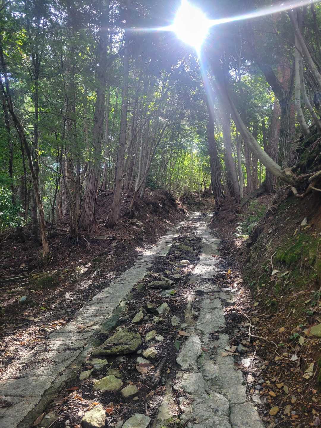 写真で見るより急登！