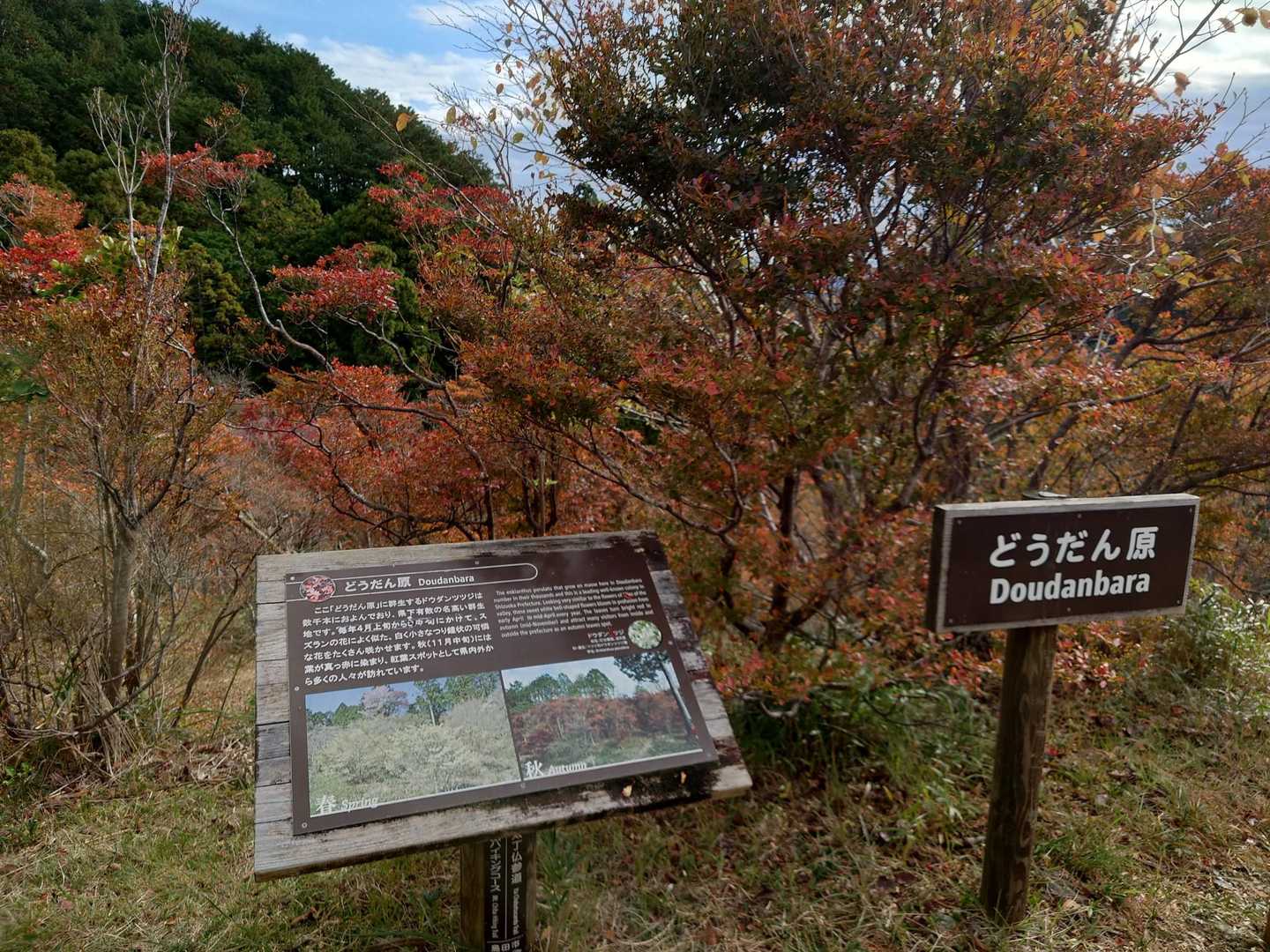 智満寺 往復コースの写真